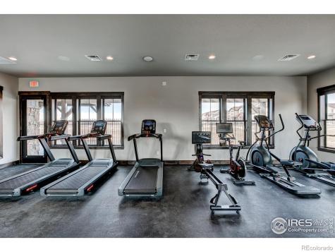 6228 Vernazza Way Windsor CO 80550