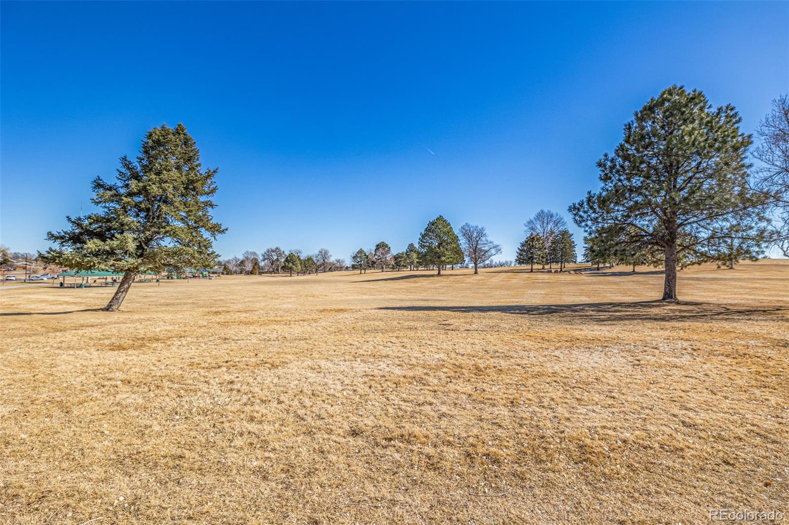 2241 Coronado Parkway Denver CO 80229
