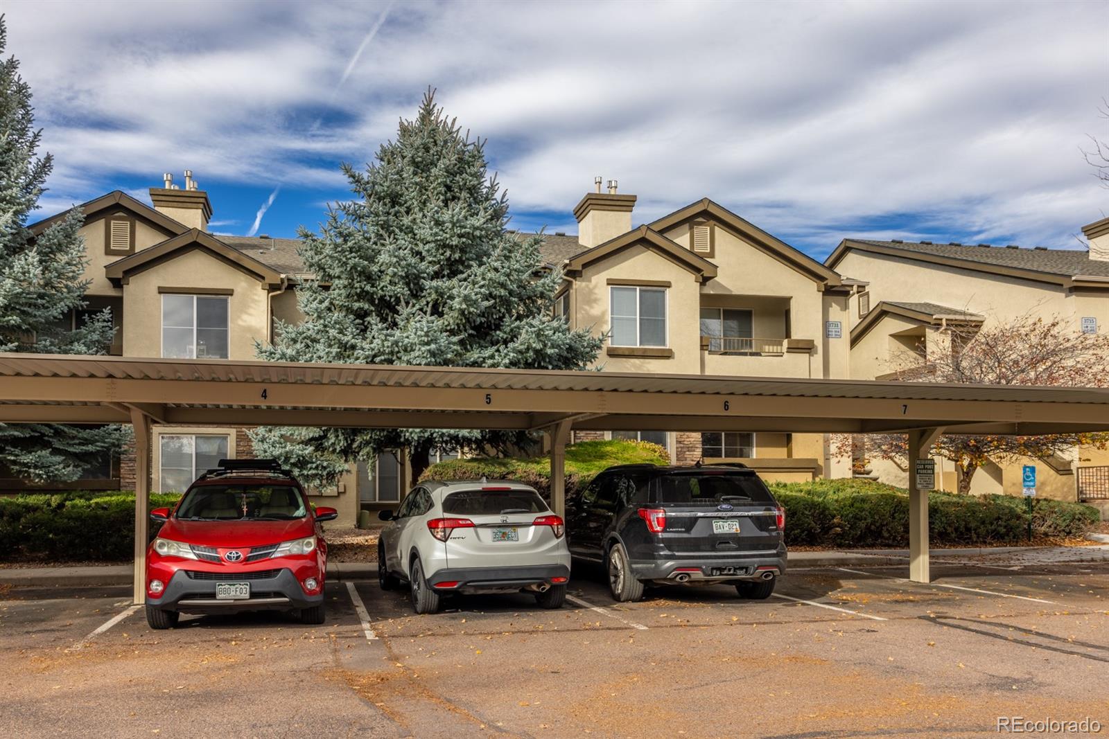 3731 Riviera Grove Colorado Springs CO 80922