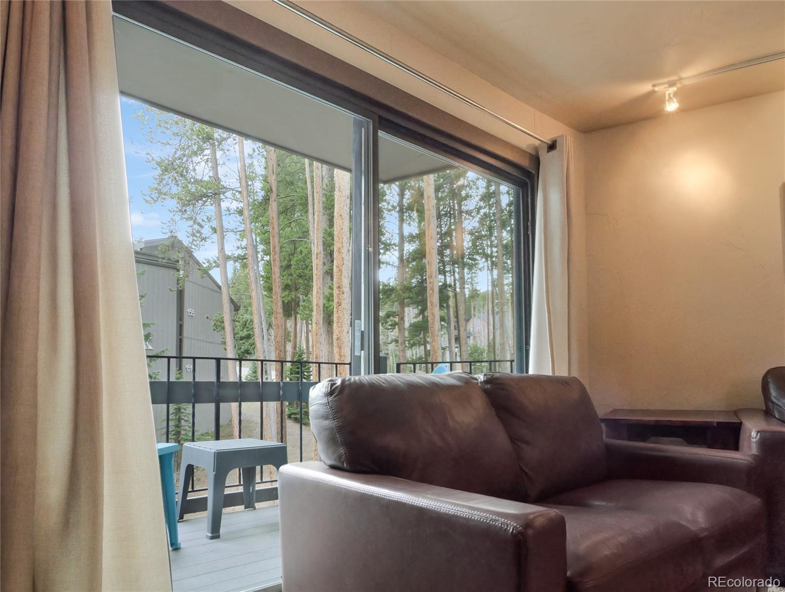 1173 Ski Hill Road Breckenridge CO 80424