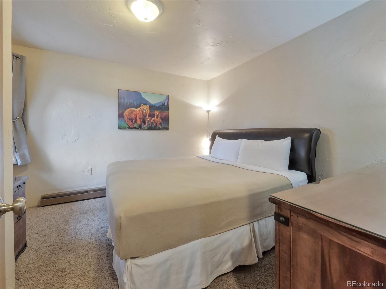 1173 Ski Hill Road Breckenridge CO 80424
