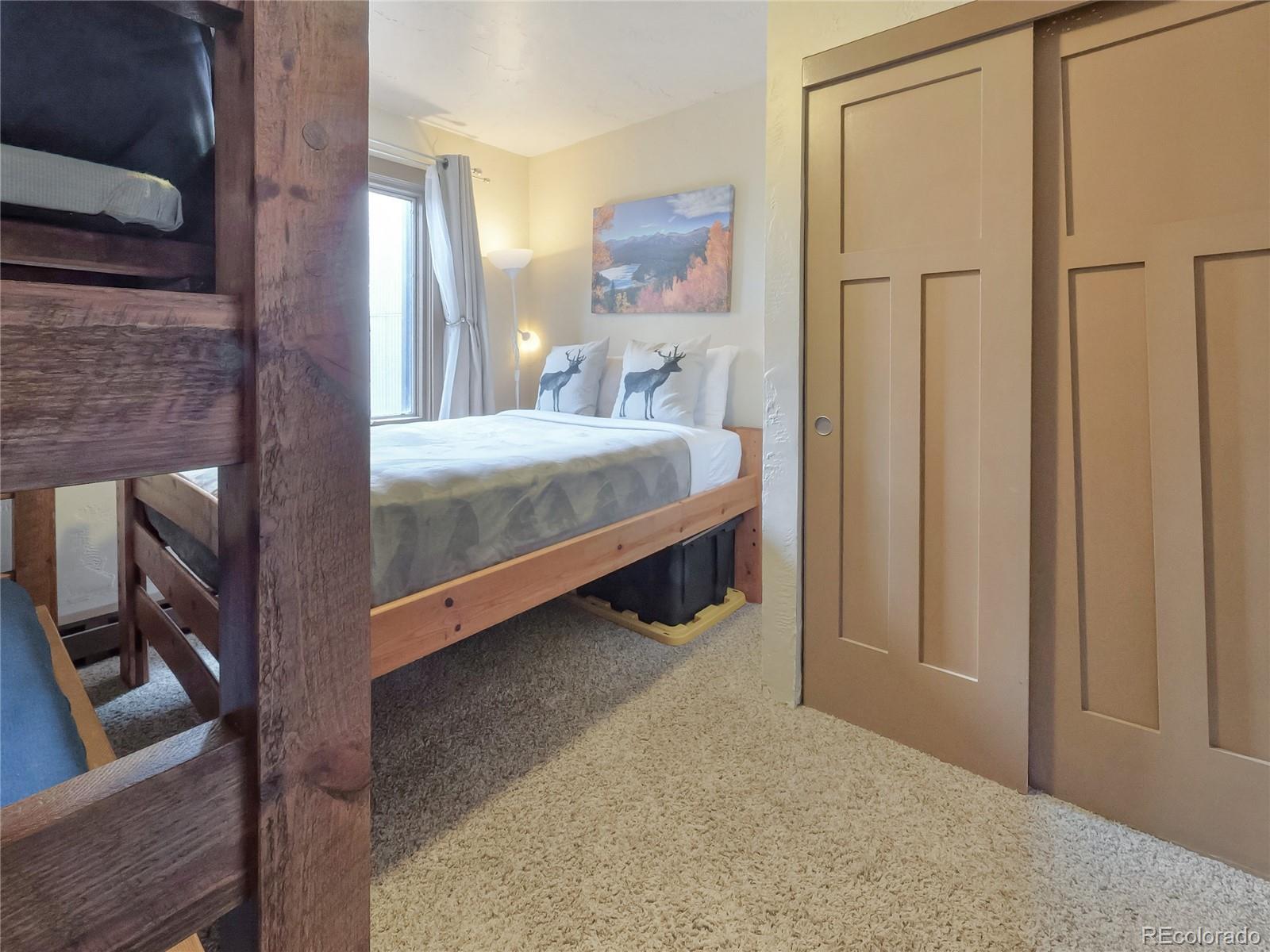 1173 Ski Hill Road Breckenridge CO 80424