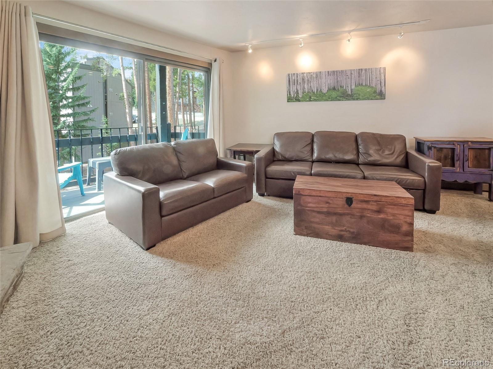1173 Ski Hill Road Breckenridge CO 80424