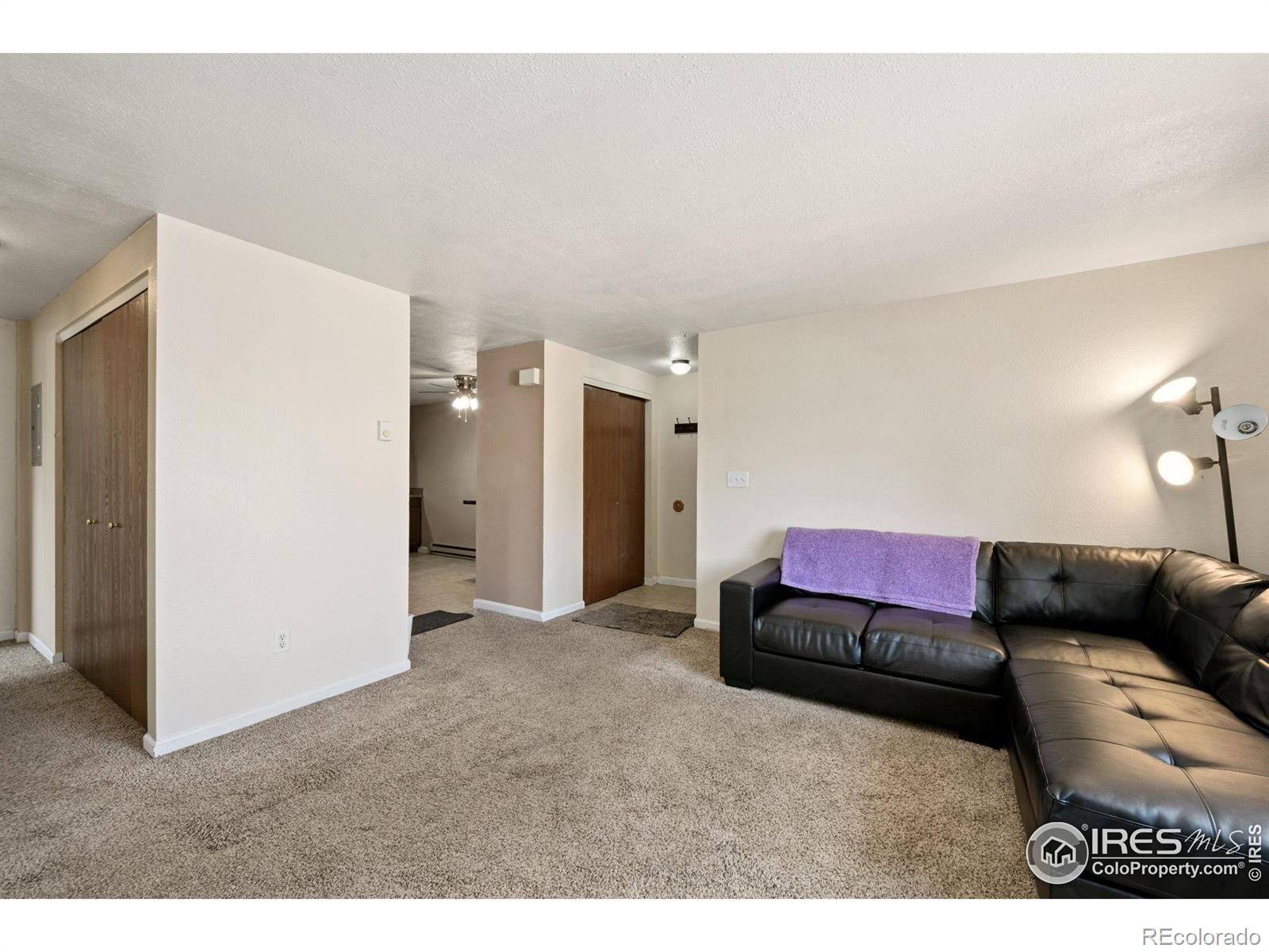 132 W 47th Place Loveland CO 80538