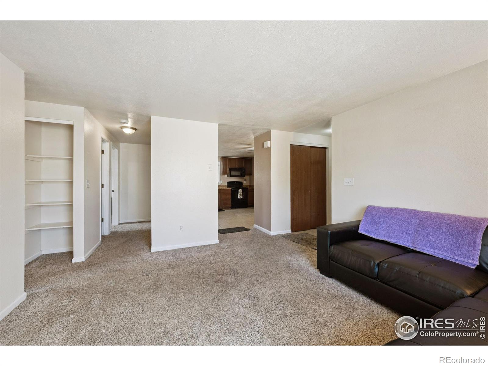 132 W 47th Place Loveland CO 80538