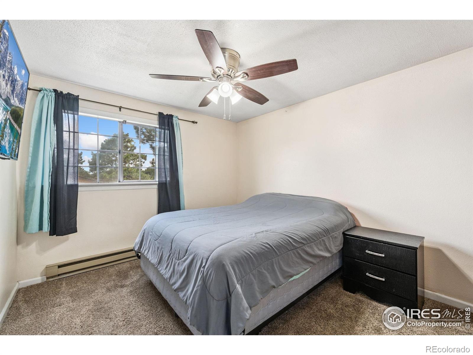 132 W 47th Place Loveland CO 80538