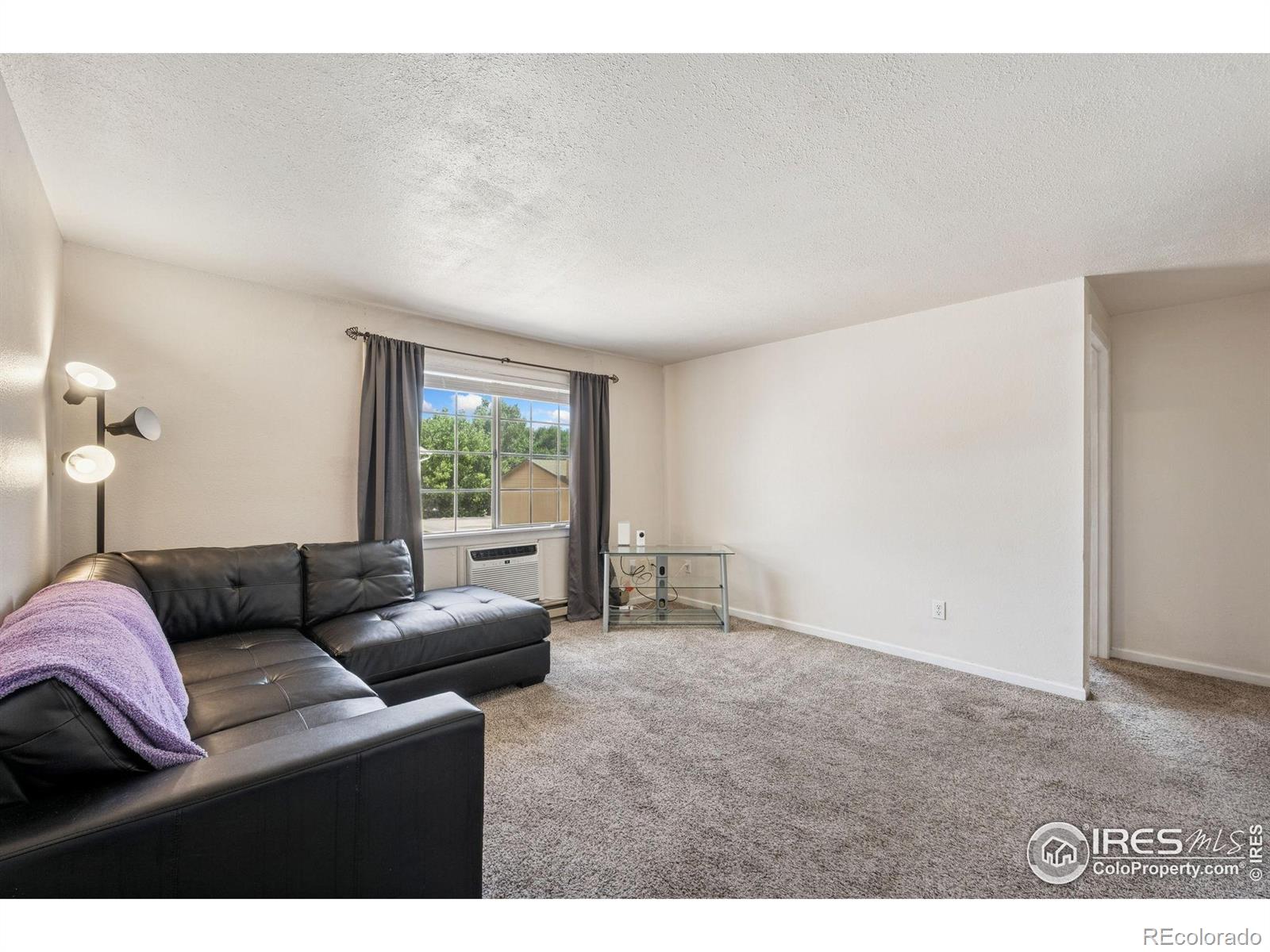 132 W 47th Place Loveland CO 80538