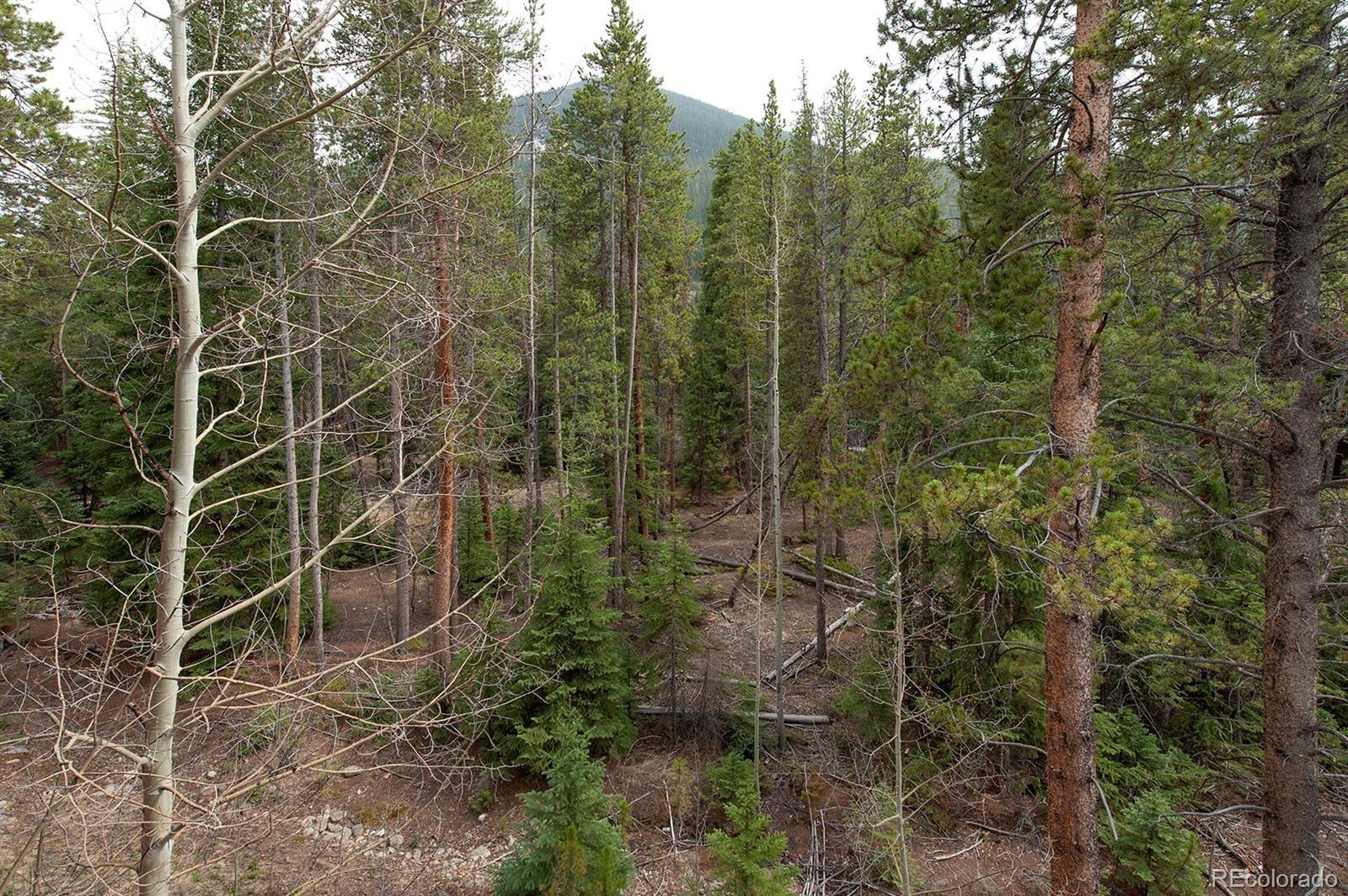 28 Trappers Crossing Trail Dillon CO 80435