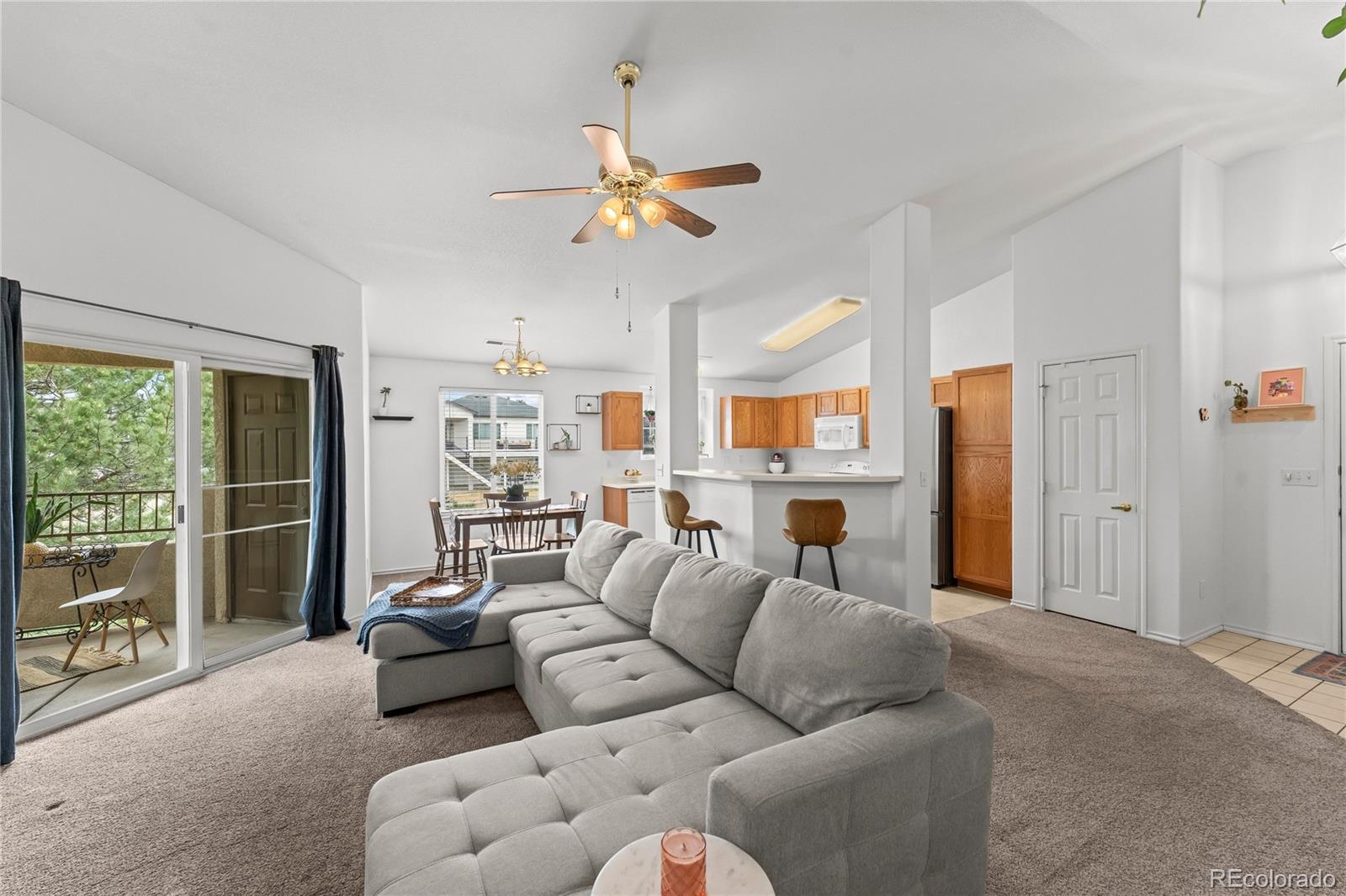 3976 Riviera Grove Colorado Springs CO 80922