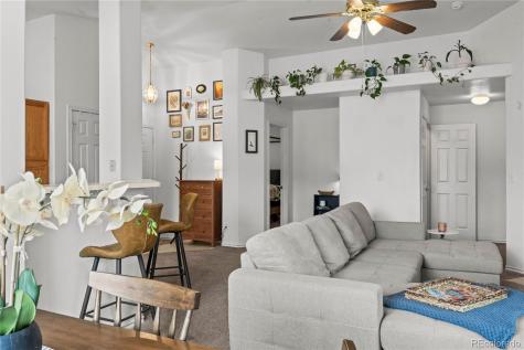 3976 Riviera Grove Colorado Springs CO 80922