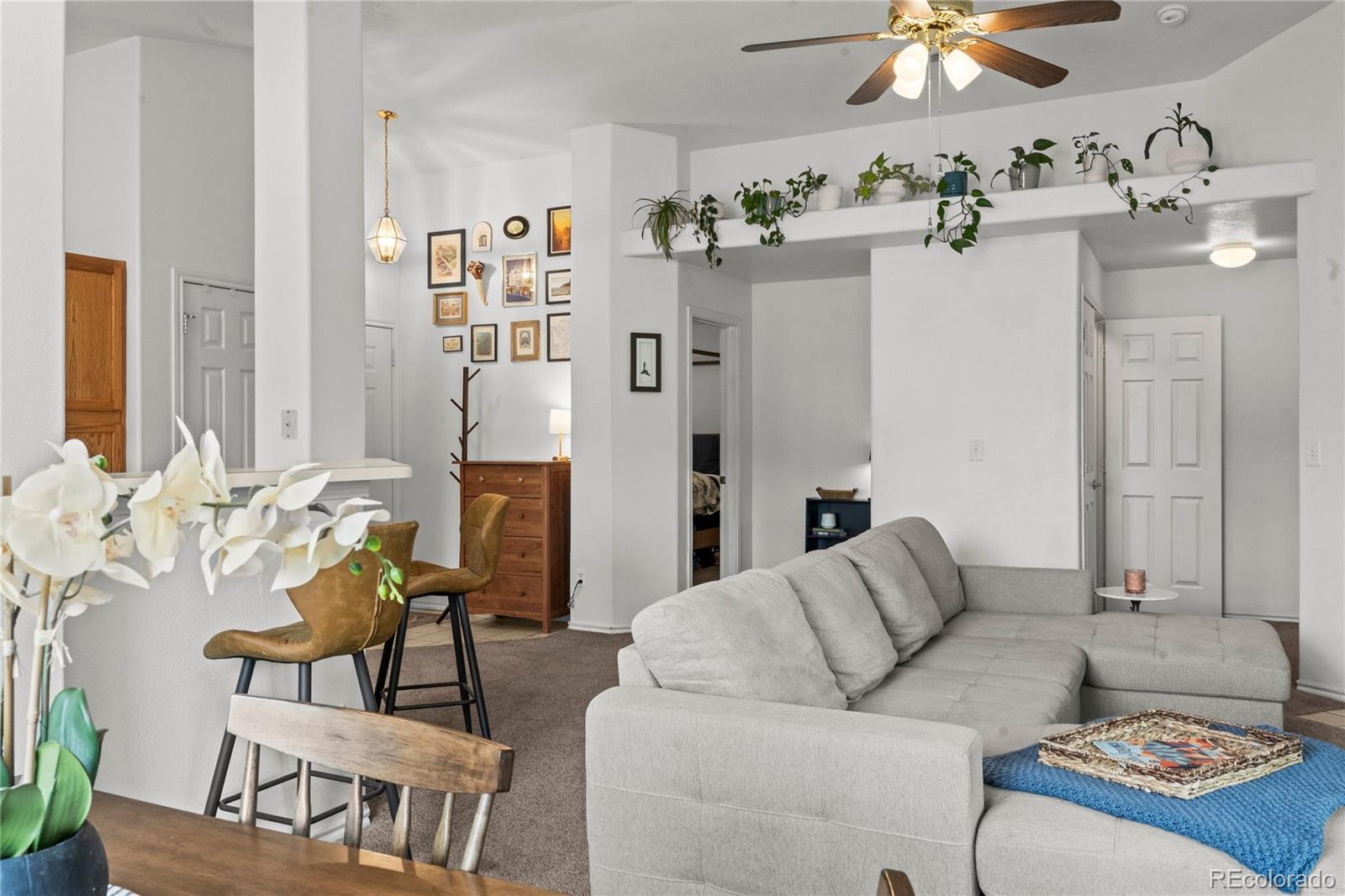 3976 Riviera Grove Colorado Springs CO 80922