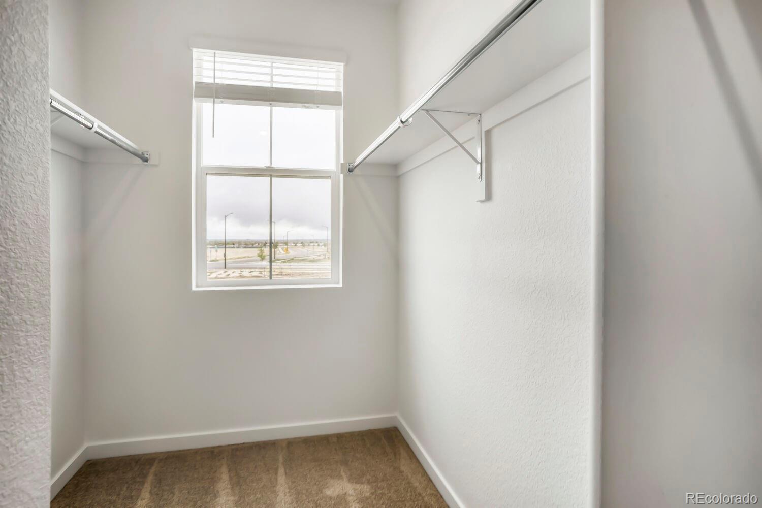 3067 Gladstone Avenue Loveland CO 80538