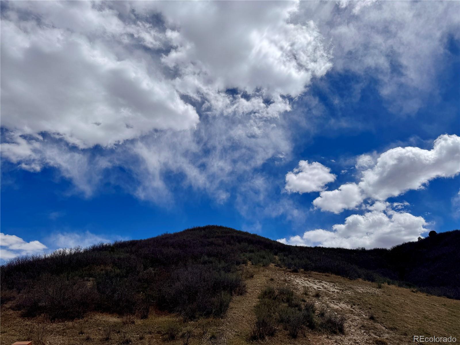 1501 Live Oak Road Castle Rock CO 80104