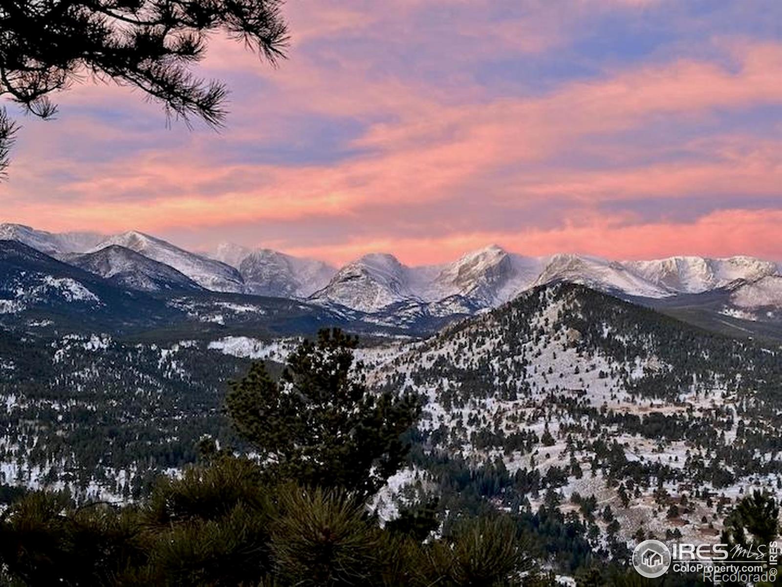 1731 Aspencliff Court Estes Park CO 80517