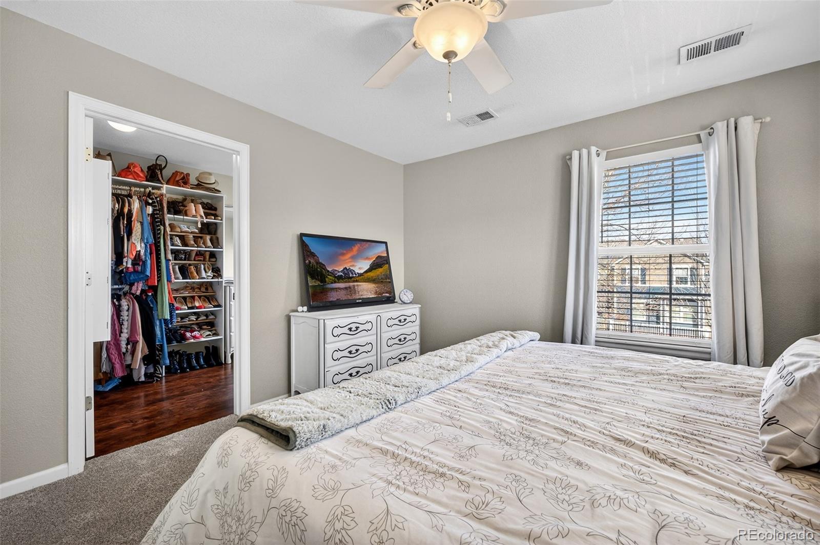 1509 Gold Hill Street Castle Rock CO 80109