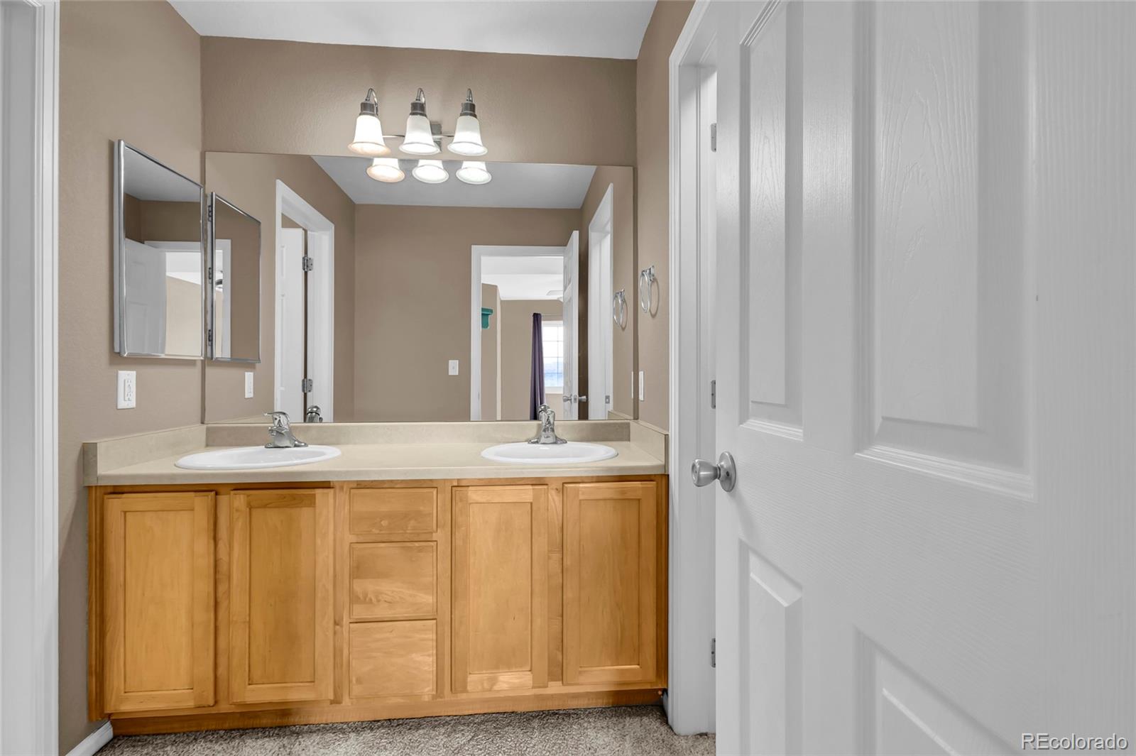 488 Black Feather Loop Castle Rock CO 80104