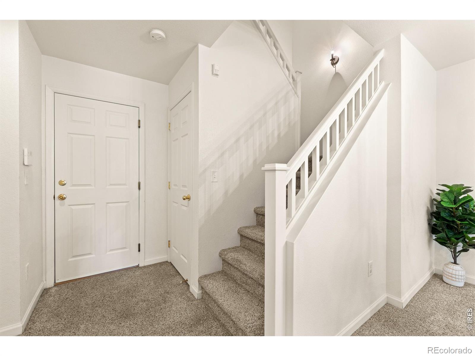 4065 Temple Gulch Circle Loveland CO 80538
