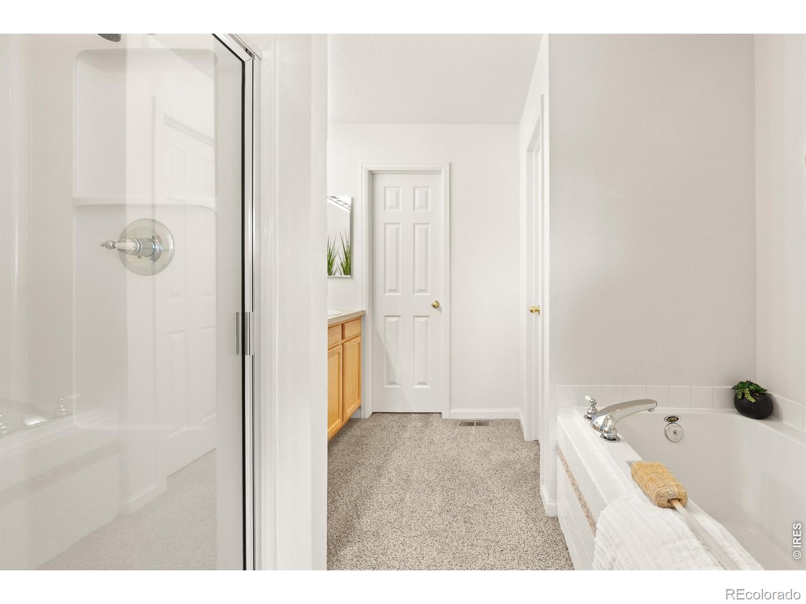 4065 Temple Gulch Circle Loveland CO 80538