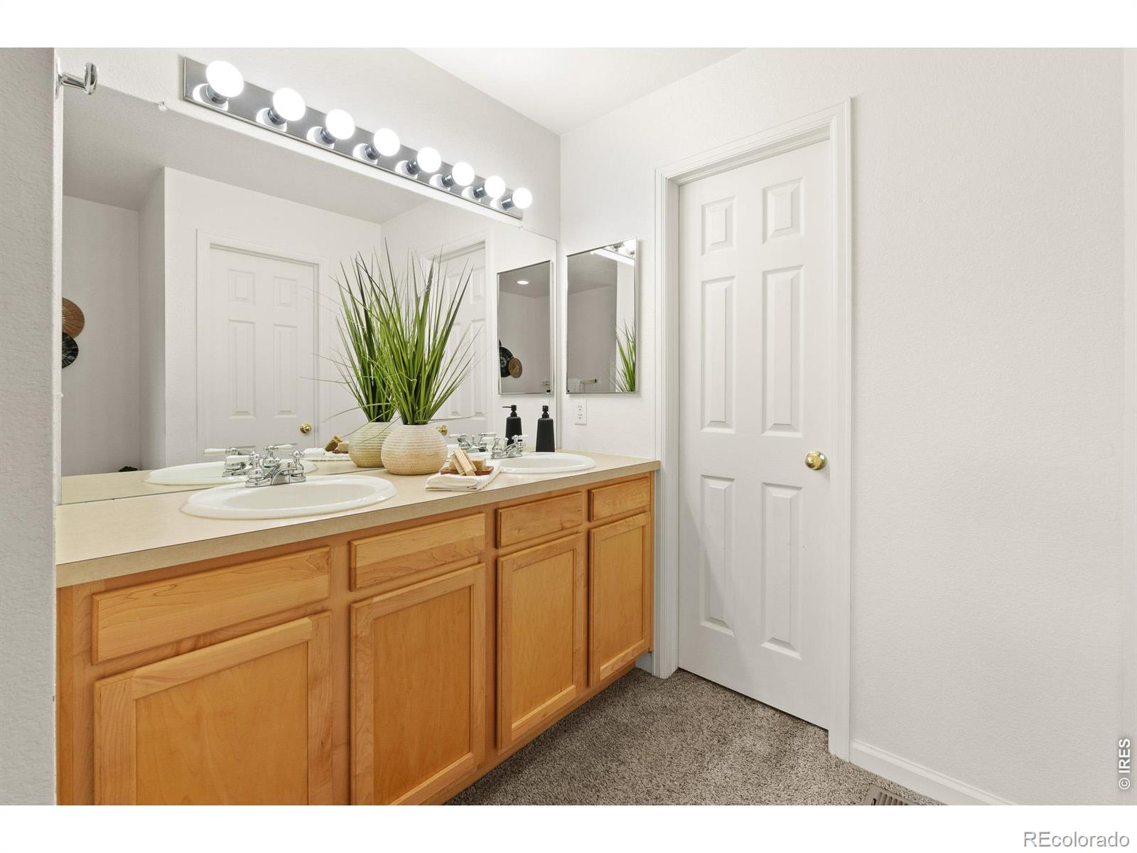 4065 Temple Gulch Circle Loveland CO 80538