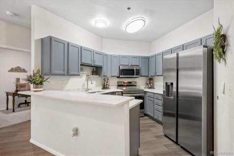 2896 W Riverwalk Circle Littleton CO 80123