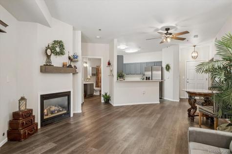 2896 W Riverwalk Circle Littleton CO 80123