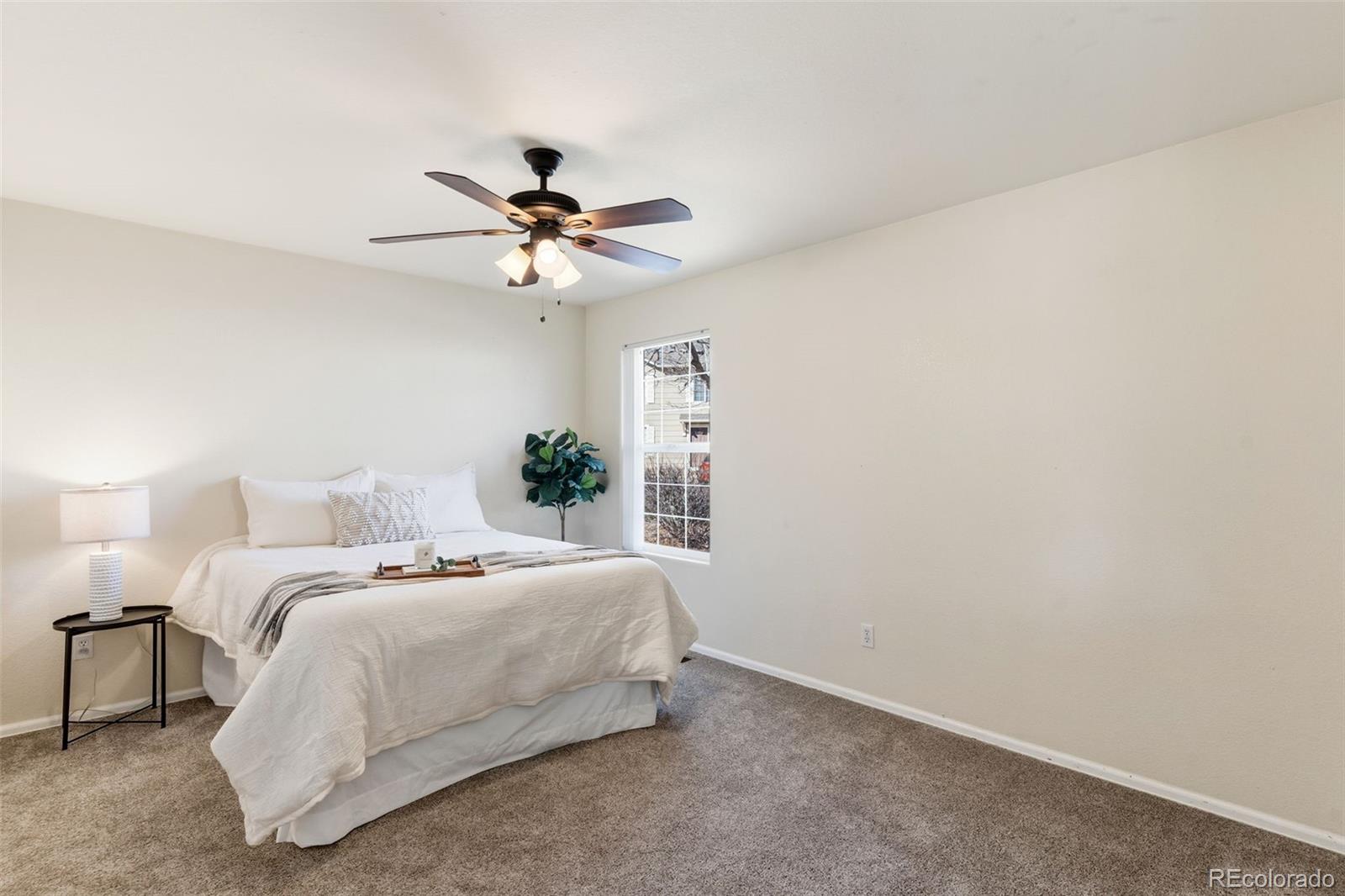256 Ellers Grove Colorado Springs CO 80916
