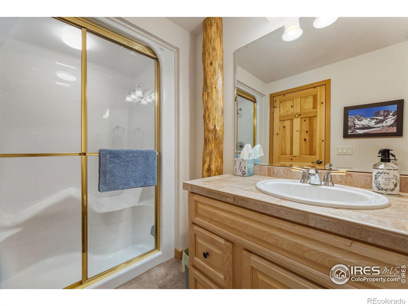 503 Riverrock Circle Estes Park CO 80517