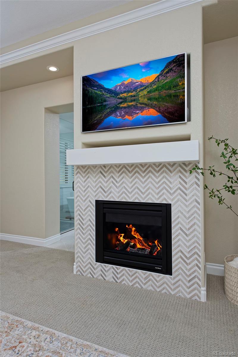 9231 Grafton Drive Lone Tree CO 80124