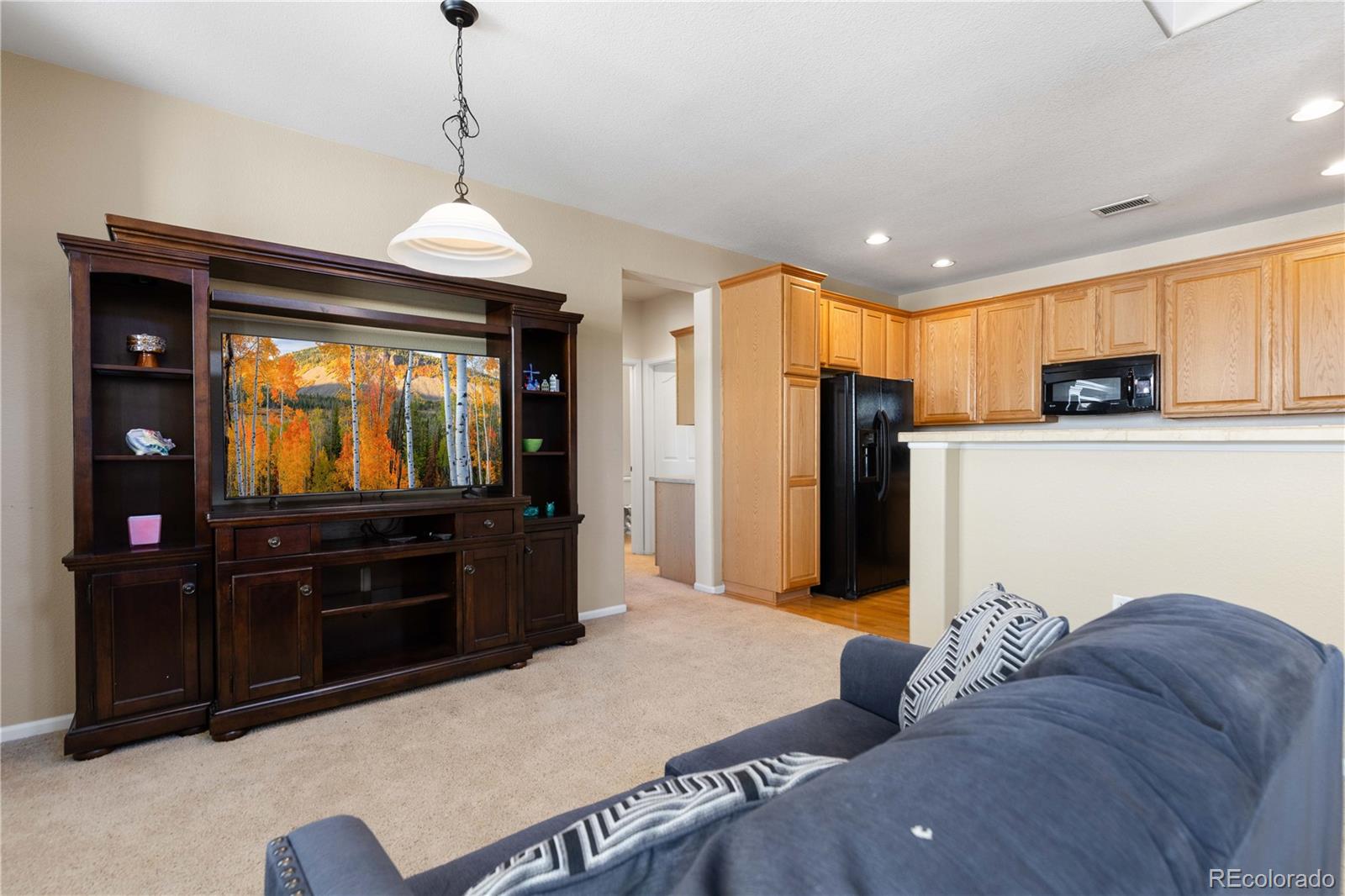 3454 Cascina Place Highlands Ranch CO 80126