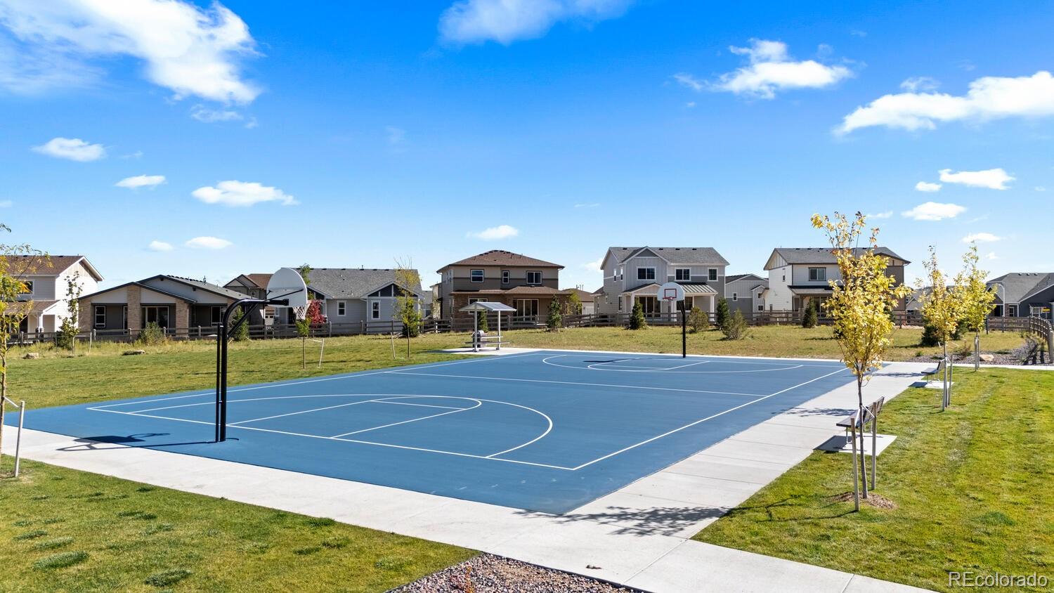 8891 Fraser River Street Littleton CO 80125