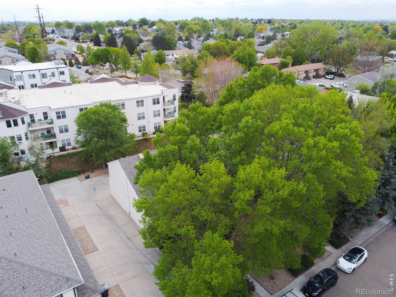 2112 Meadow Court Longmont CO 80501