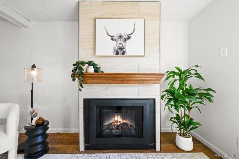 7137 S Webster Street Littleton CO 80128