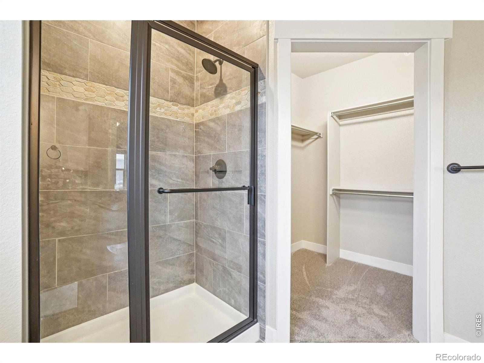 4612 Hahns Peak Drive Loveland CO 80538