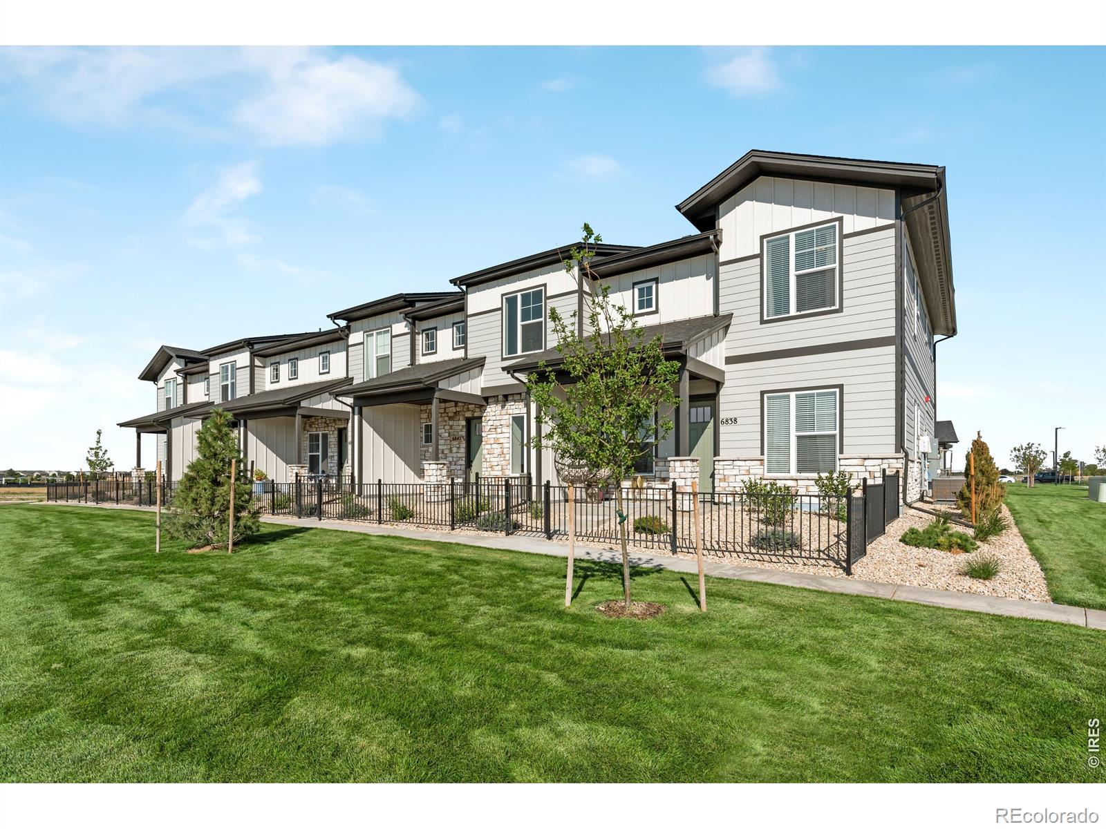 6796 Maple Leaf Drive Timnath CO 80547