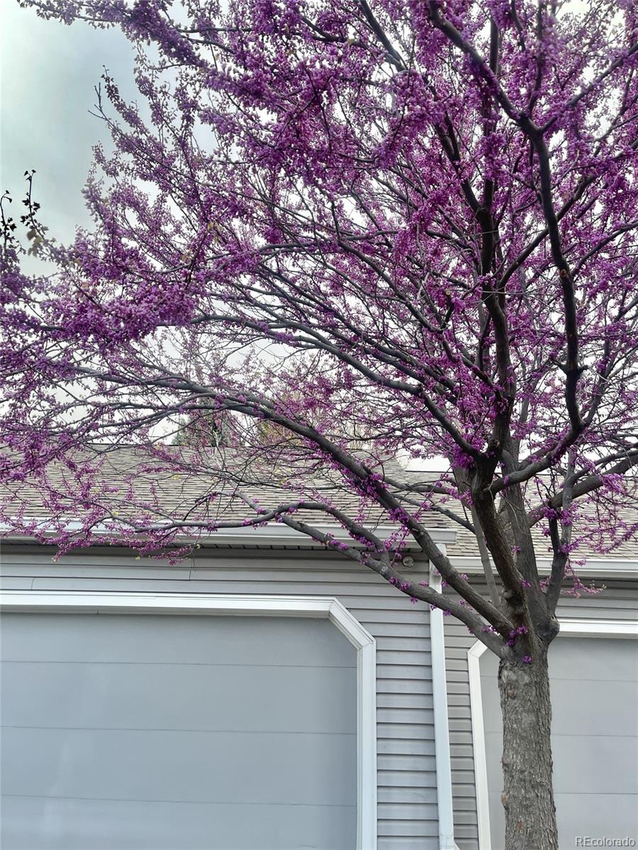 13703 E Marina Drive Aurora CO 80014