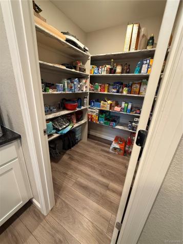 16423 Askins Loop Parker CO 80134