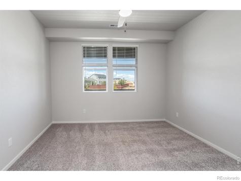 1825 Bounty Drive Windsor CO 80550