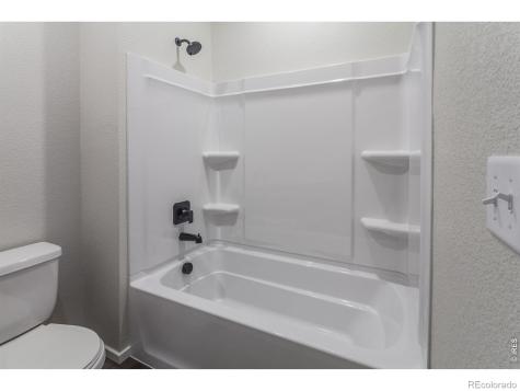 1825 Bounty Drive Windsor CO 80550