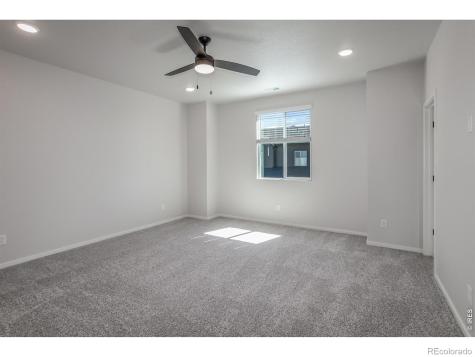 1825 Bounty Drive Windsor CO 80550