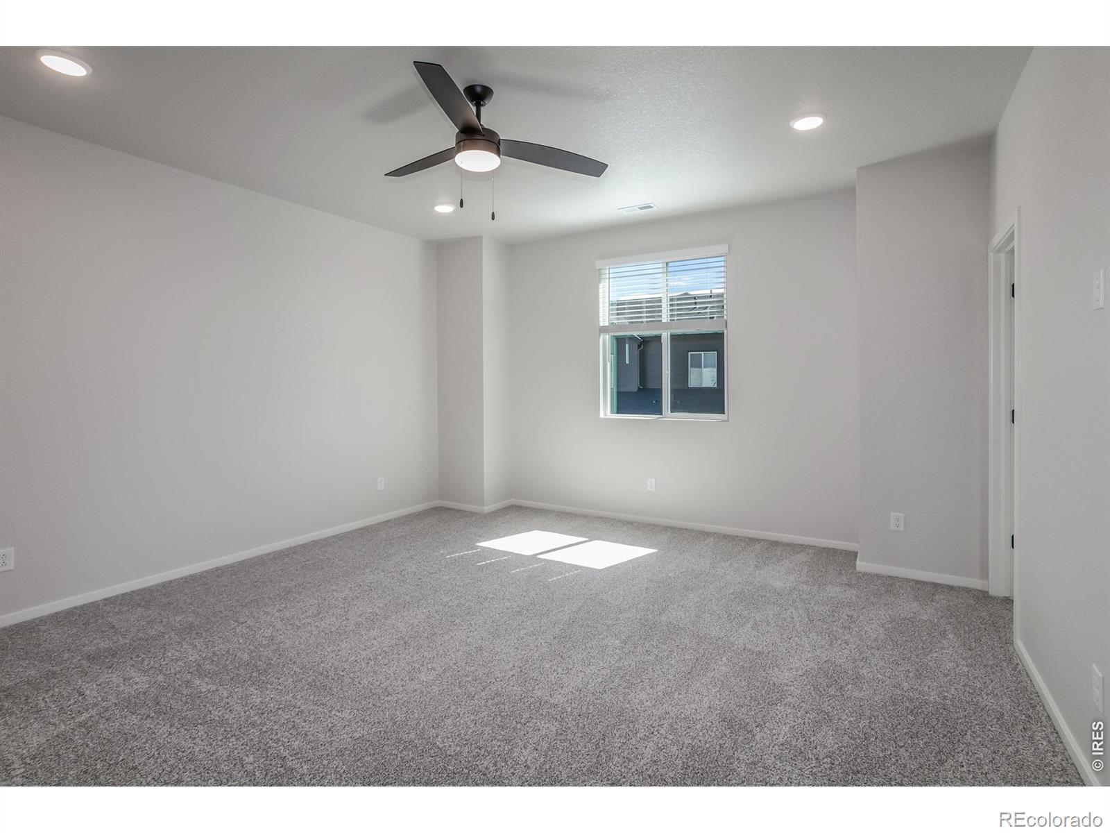 1825 Bounty Drive Windsor CO 80550