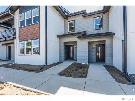 1825 Bounty Drive Windsor CO 80550