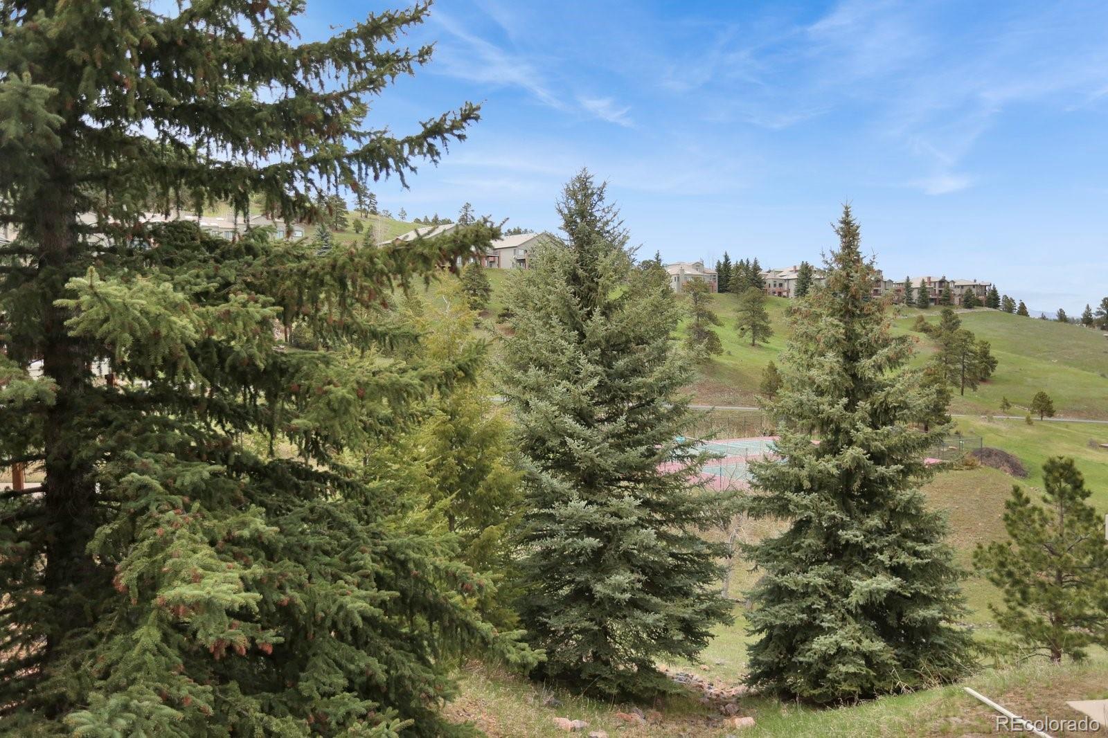 748 Chimney Creek Drive Golden CO 80401