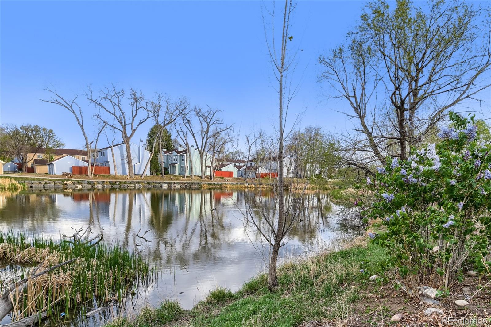 12150 Melody Drive Westminster CO 80234