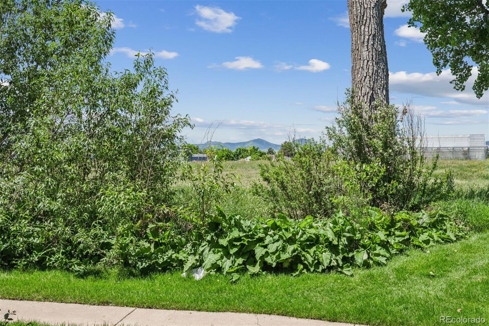 4899 S Dudley Street Littleton CO 80123