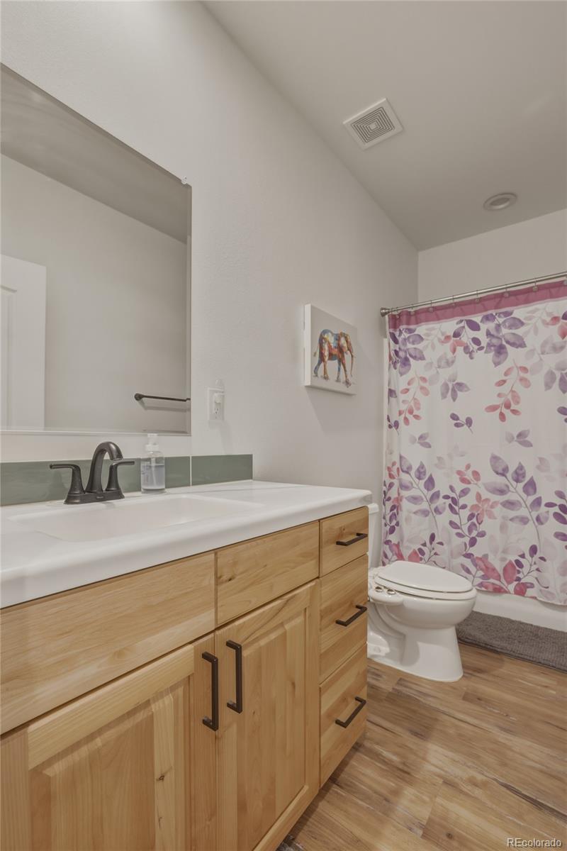 115 Brooklyn Circle Leadville CO 80461