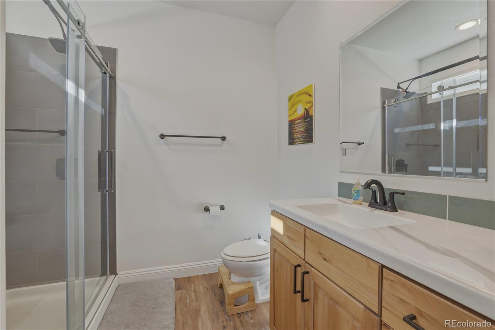 115 Brooklyn Circle Leadville CO 80461