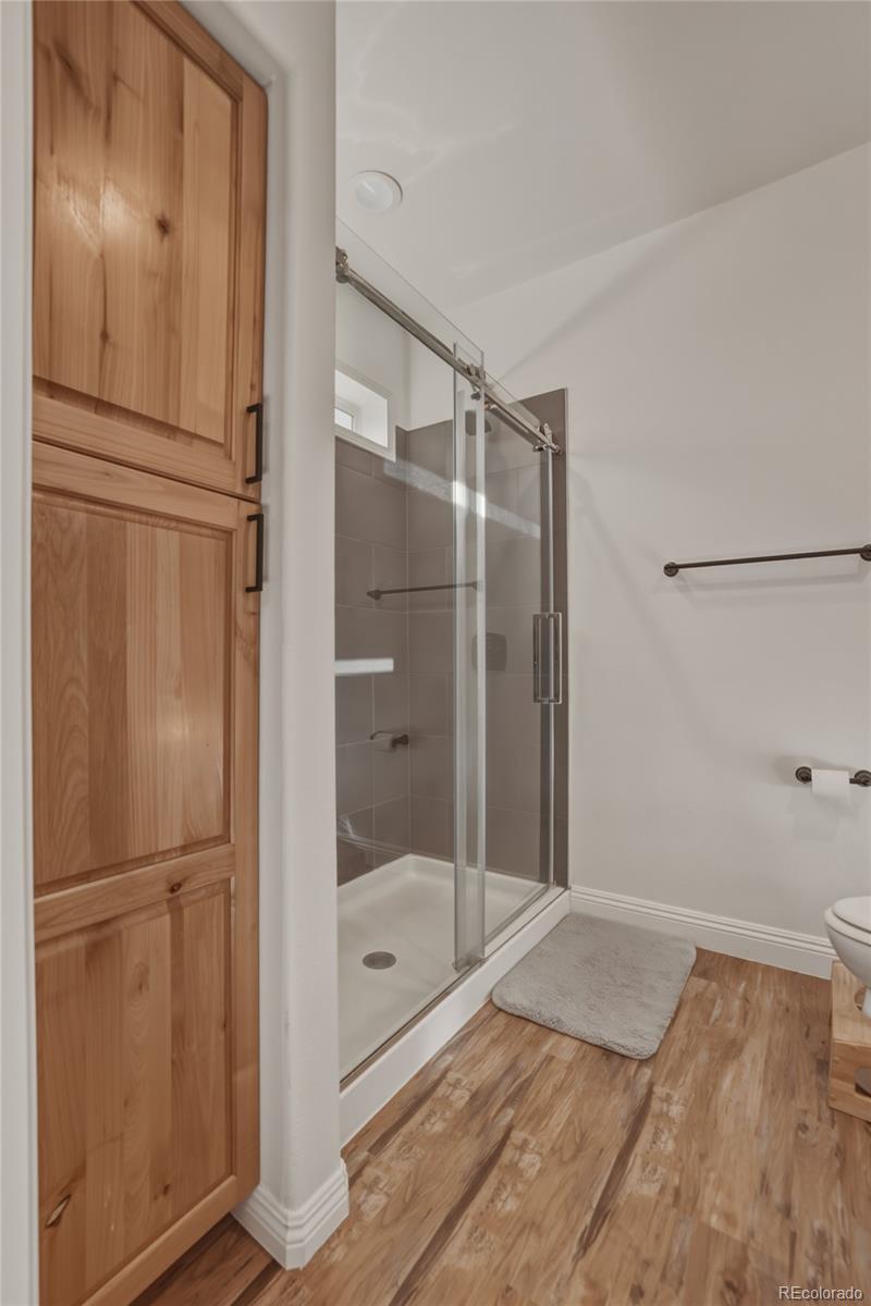 115 Brooklyn Circle Leadville CO 80461