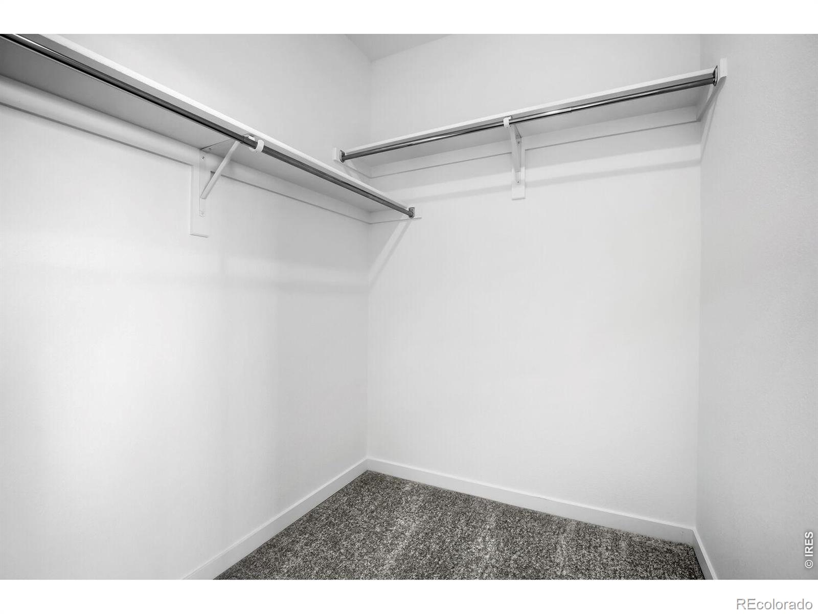 3584 Quincy Bay Place Loveland CO 80538