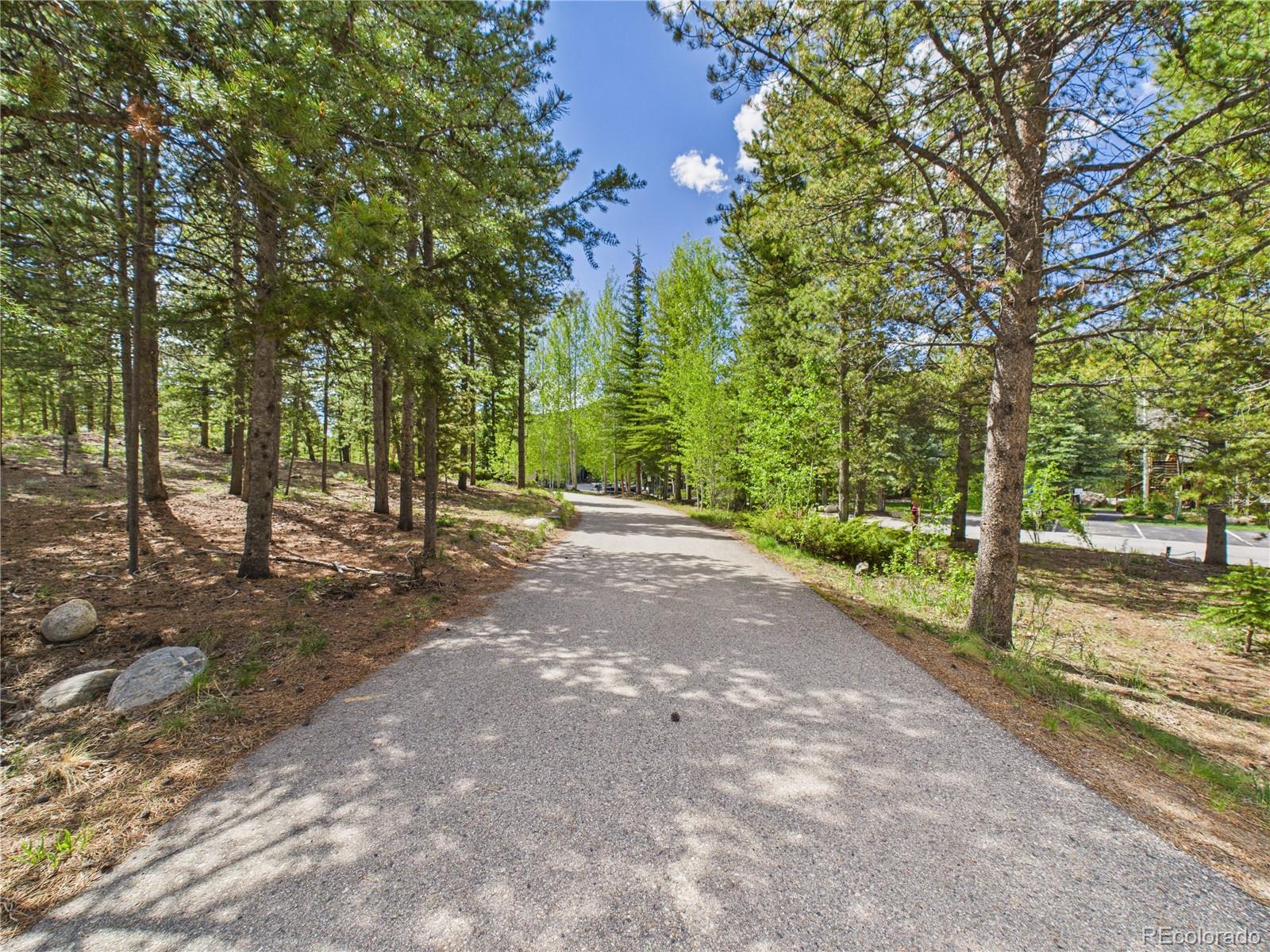 27 Lake Ridge Circle Dillon CO 80435