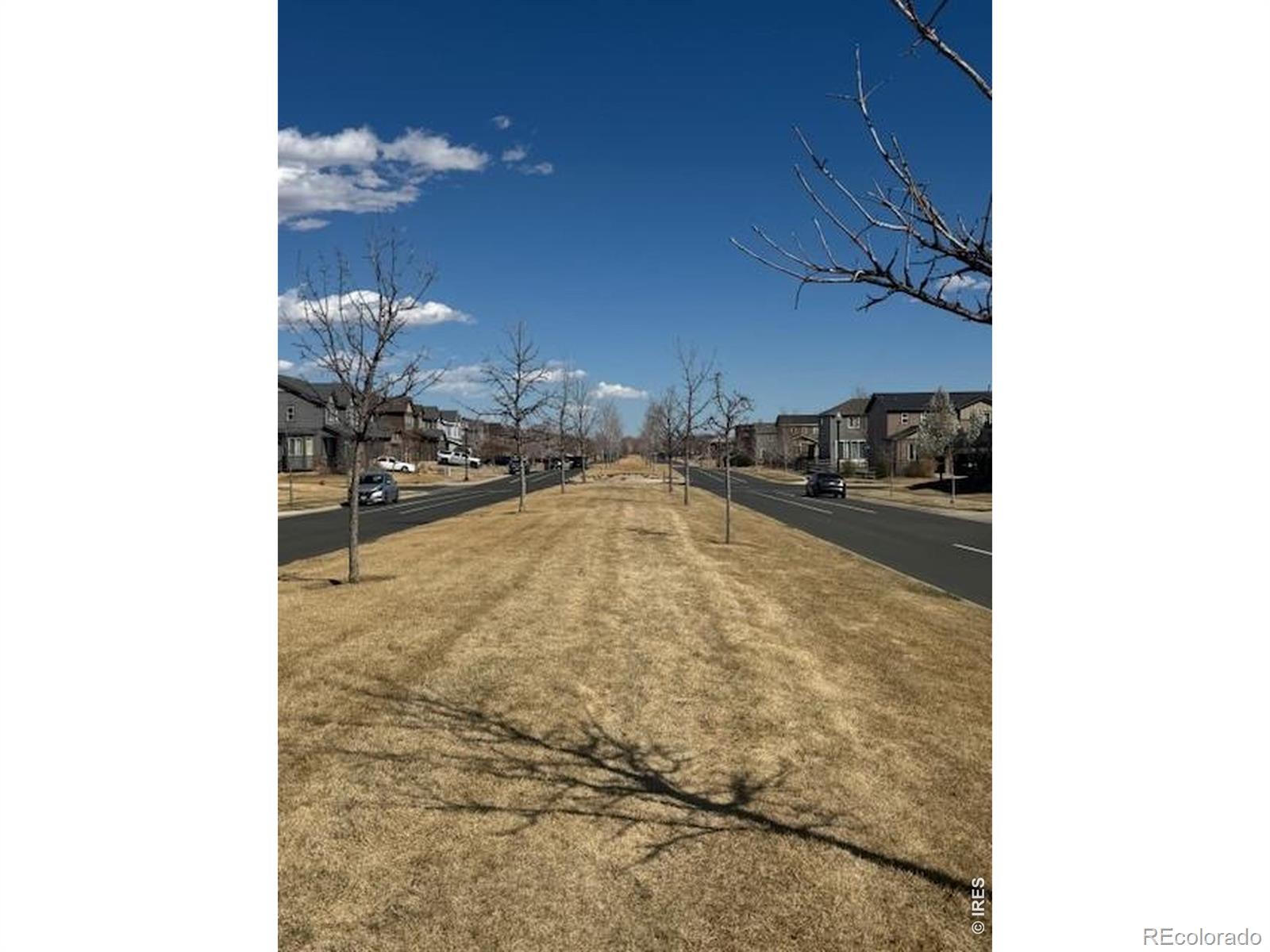 1691 Grand Avenue Windsor CO 80550